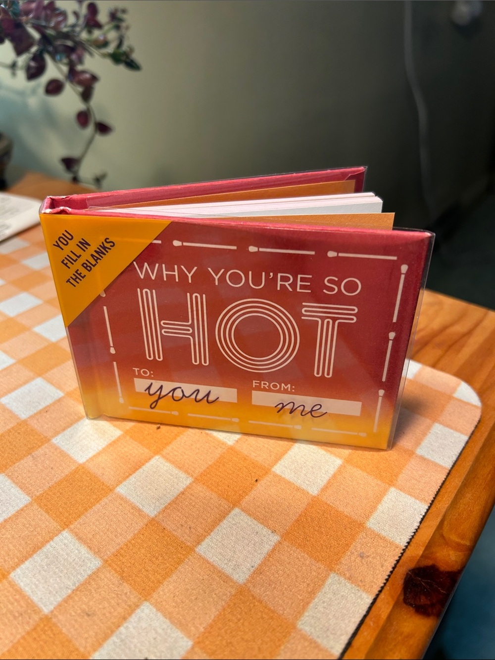 Why You're So Hot Fill-in Book - knock knock